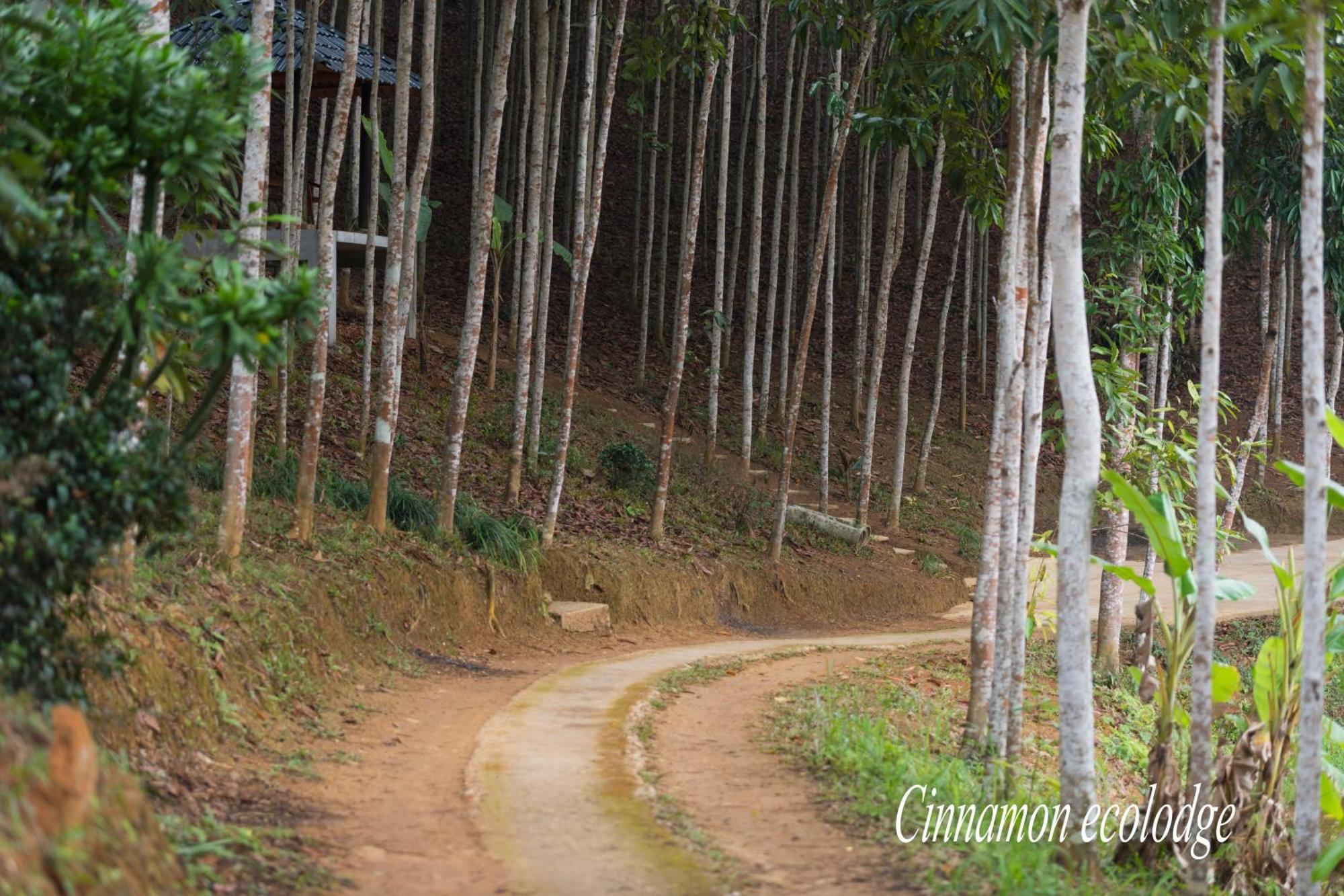 Cinnamon Eco Lodge Nam Hoac Exterior photo